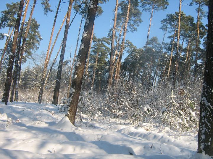 Obraz 087.jpg